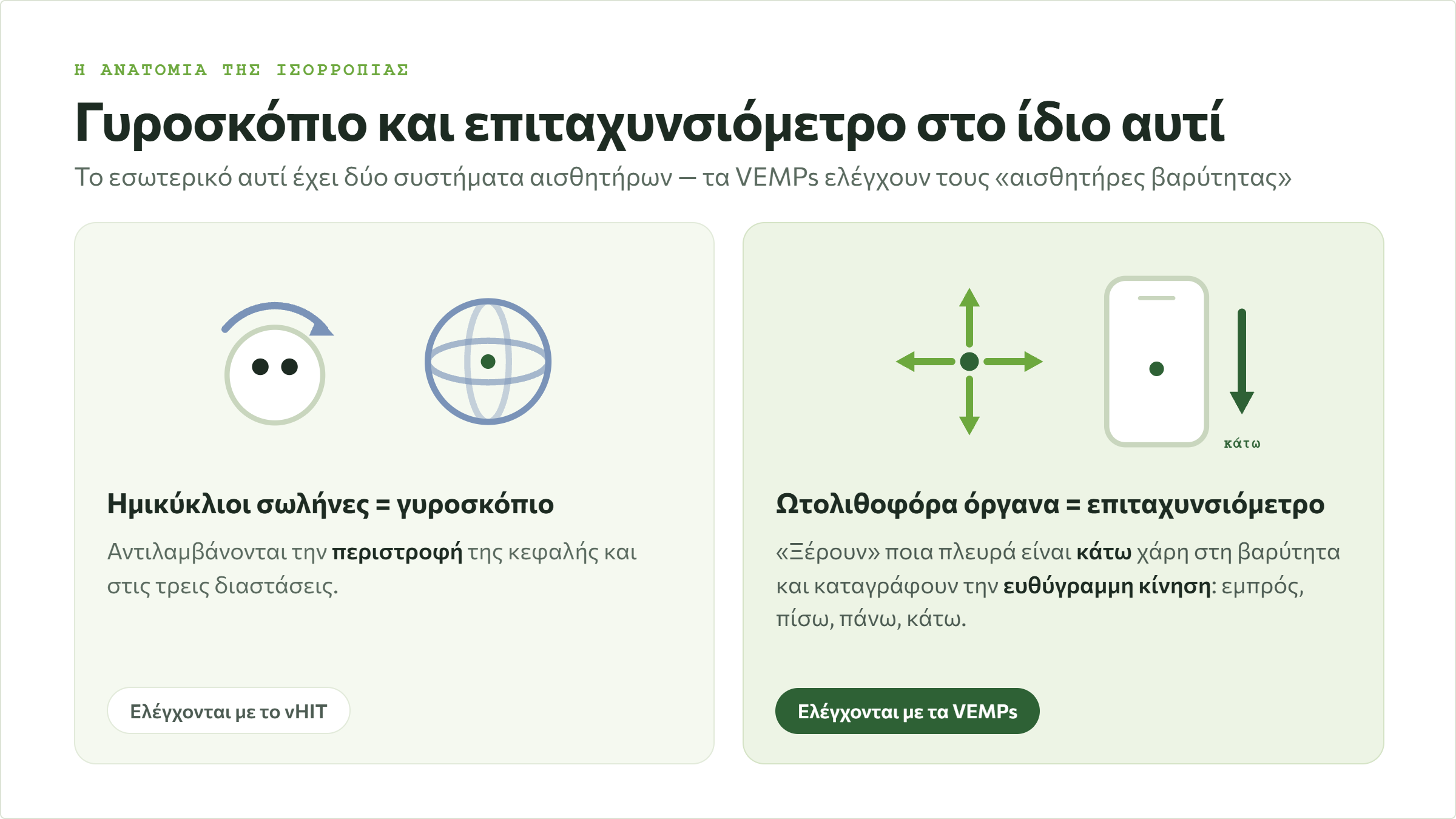 Πώς λειτουργεί το εσωτερικό αυτί: οι ημικύκλιοι σωλήνες ως γυροσκόπιο και τα ωτολιθοφόρα όργανα ως επιταχυνσιόμετρο