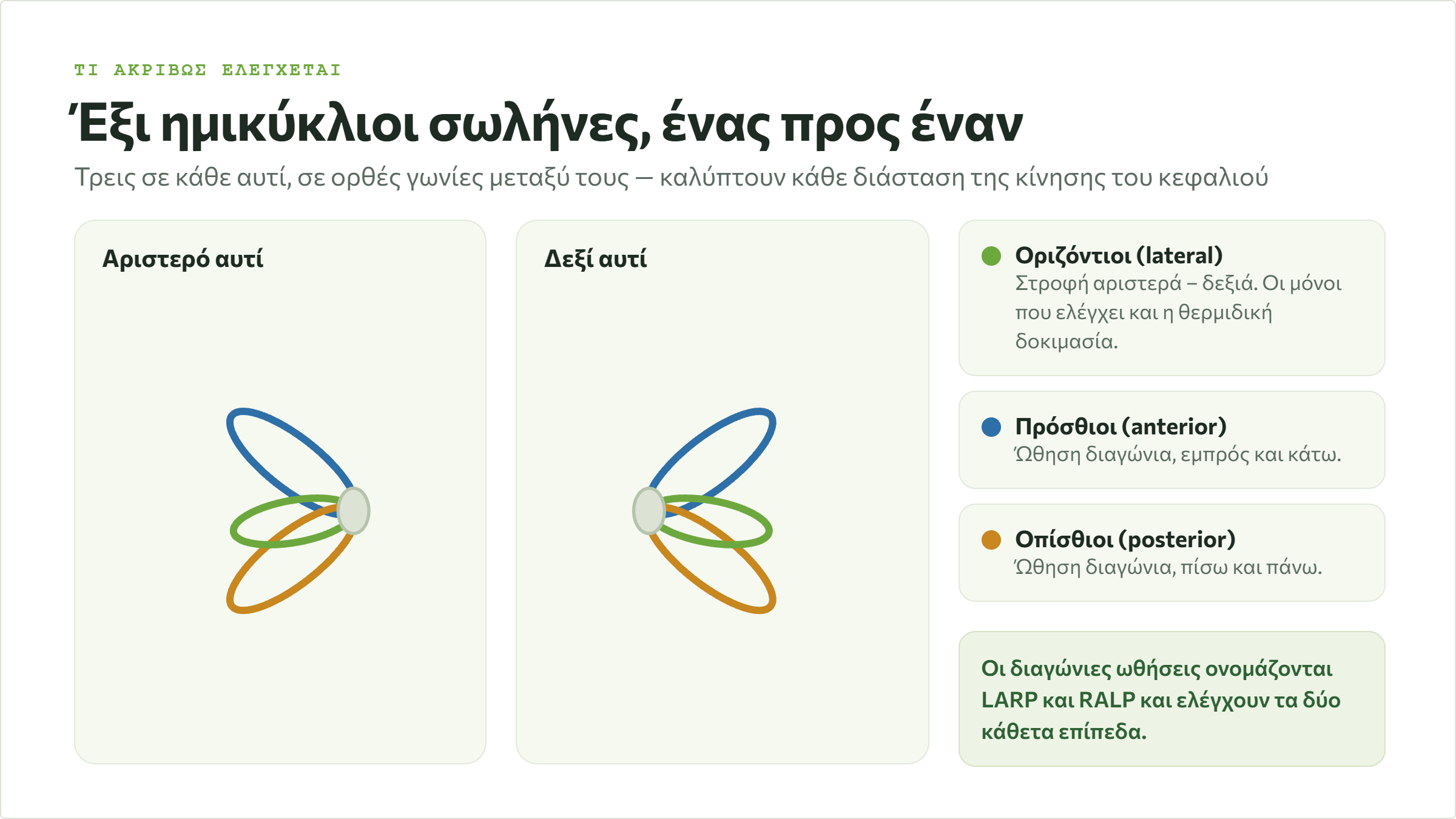 Σχηματική απεικόνιση των έξι ημικύκλιων σωλήνων, τριών σε κάθε αυτί: οριζόντιος, πρόσθιος και οπίσθιος, που συγκλίνουν στον αιθουσαίο κόλπο