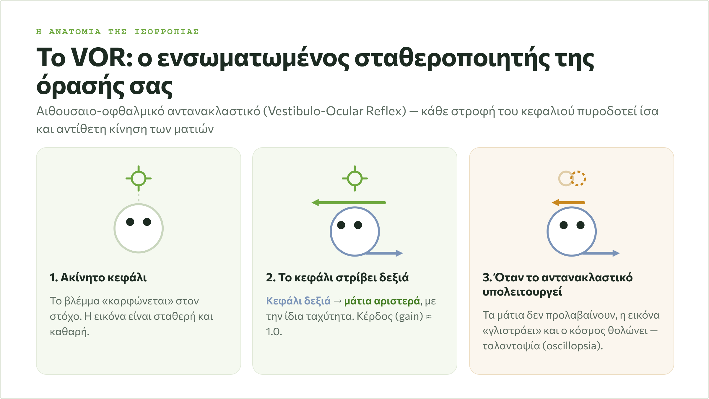 Διάγραμμα του αιθουσαιο-οφθαλμικού αντανακλαστικού VOR σε τρεις φάσεις: ακίνητο κεφάλι, στροφή κεφαλιού με αντίθετη κίνηση των ματιών και δυσλειτουργία με ολίσθηση της εικόνας
